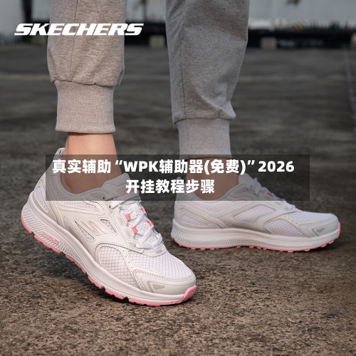 真实辅助“WPK辅助器(免费)”2026开挂教程步骤-第2张图片