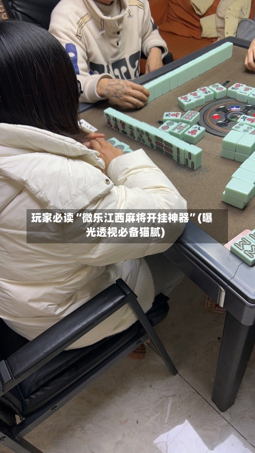 玩家必读“微乐江西麻将开挂神器”(曝光透视必备猫腻)-第2张图片