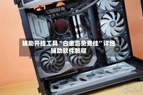 辅助开挂工具“白金岛免费挂”详细辅助软件教程-第1张图片