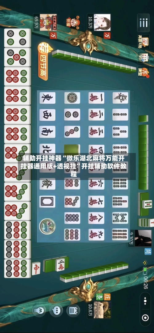 辅助开挂神器“微乐湖北麻将万能开挂器通用版+透视挂	”开挂辅助软件教程-第2张图片