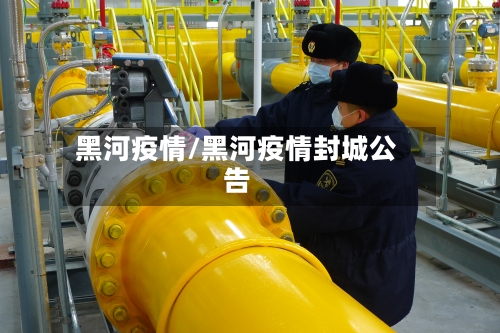黑河疫情/黑河疫情封城公告-第3张图片