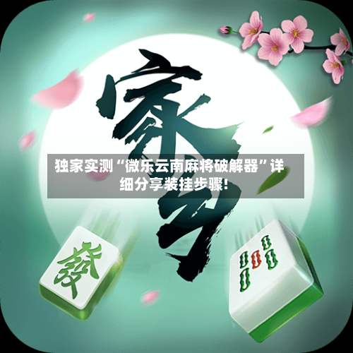 独家实测“微乐云南麻将破解器	”详细分享装挂步骤!-第2张图片