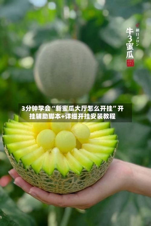 3分钟学会“新蜜瓜大厅怎么开挂”开挂辅助脚本+详细开挂安装教程-第2张图片