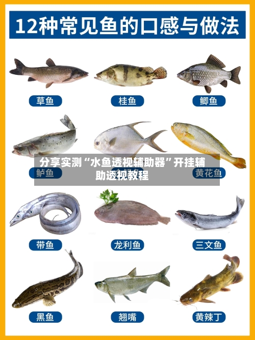 分享实测“水鱼透视辅助器”开挂辅助透视教程-第2张图片