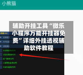 辅助开挂工具“微乐小程序万能开挂器免费	”详细外挂透视辅助软件教程-第3张图片