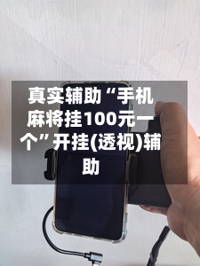 真实辅助“手机麻将挂100元一个	”开挂(透视)辅助-第2张图片