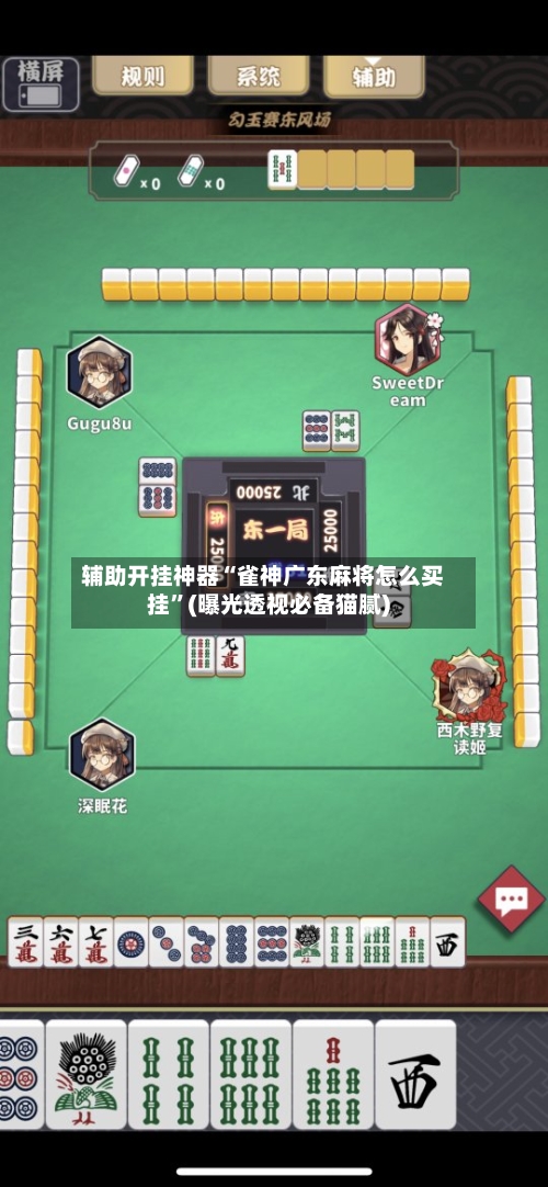 辅助开挂神器“雀神广东麻将怎么买挂	”(曝光透视必备猫腻)-第3张图片