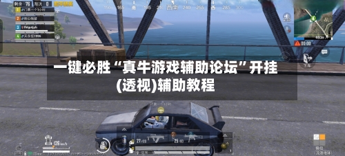 一键必胜“真牛游戏辅助论坛	”开挂(透视)辅助教程-第2张图片