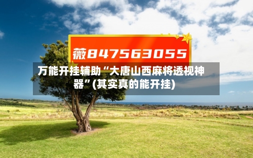 万能开挂辅助“大唐山西麻将透视神器”(其实真的能开挂)-第2张图片