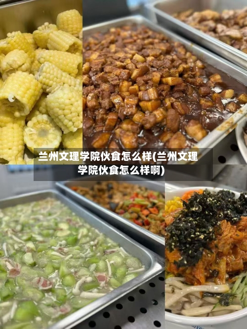 兰州文理学院伙食怎么样(兰州文理学院伙食怎么样啊)-第3张图片