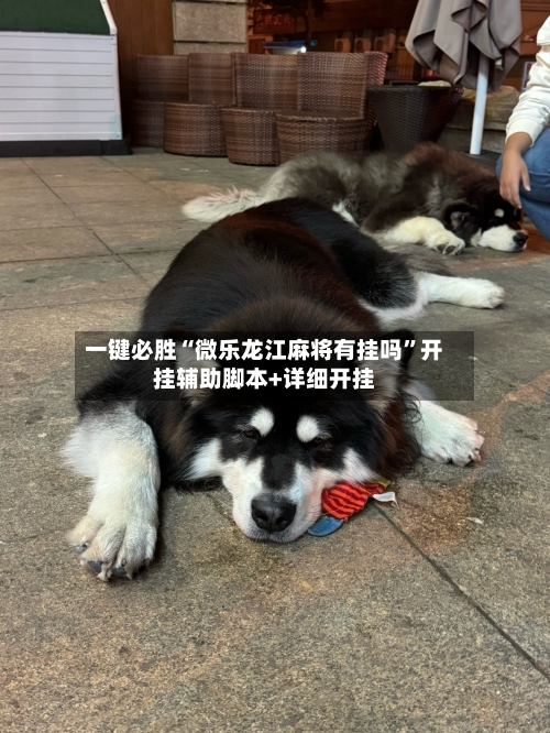 一键必胜“微乐龙江麻将有挂吗”开挂辅助脚本+详细开挂-第1张图片