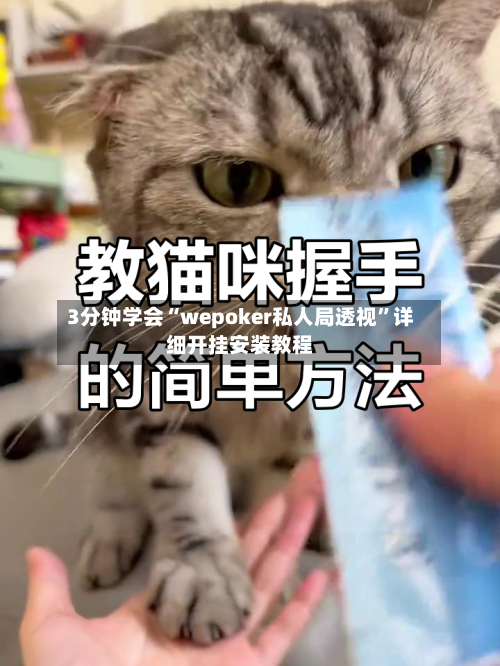 3分钟学会“wepoker私人局透视	”详细开挂安装教程-第1张图片