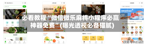 必看教程“微信微乐麻将小程序必赢神器免费”(曝光透视必备猫腻)-第1张图片