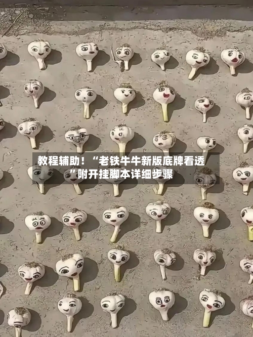 教程辅助！“老铁牛牛新版底牌看透”附开挂脚本详细步骤-第2张图片