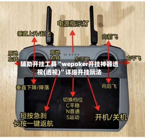 辅助开挂工具“wepoker开挂神器透视(透视)”详细开挂玩法-第2张图片