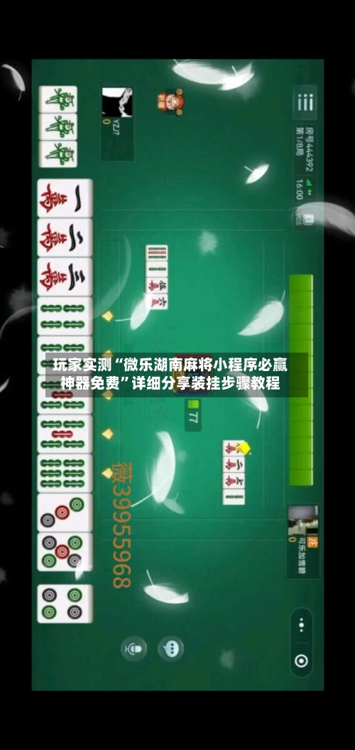 玩家实测“微乐湖南麻将小程序必赢神器免费”详细分享装挂步骤教程-第1张图片
