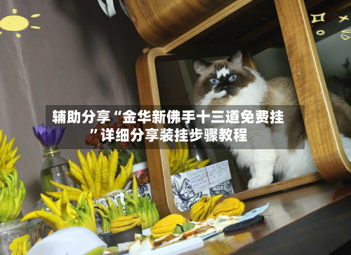 辅助分享“金华新佛手十三道免费挂	”详细分享装挂步骤教程-第1张图片