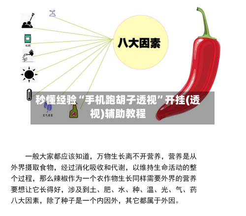 秒懂经验“手机跑胡子透视	”开挂(透视)辅助教程-第2张图片