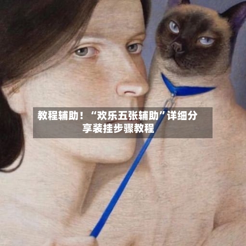 教程辅助！“欢乐五张辅助	”详细分享装挂步骤教程-第2张图片