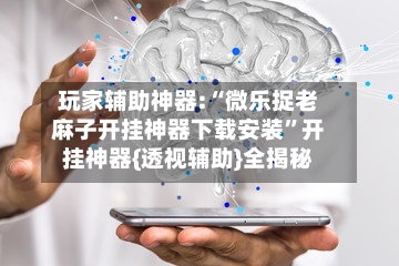 玩家辅助神器:“微乐捉老麻子开挂神器下载安装”开挂神器{透视辅助}全揭秘-第1张图片