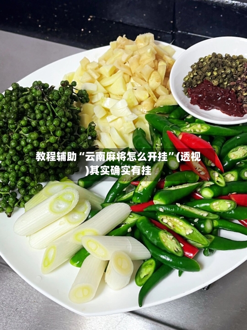 教程辅助“云南麻将怎么开挂”(透视)其实确实有挂-第3张图片