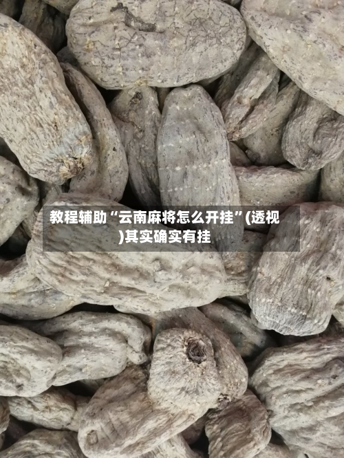 教程辅助“云南麻将怎么开挂	”(透视)其实确实有挂-第2张图片