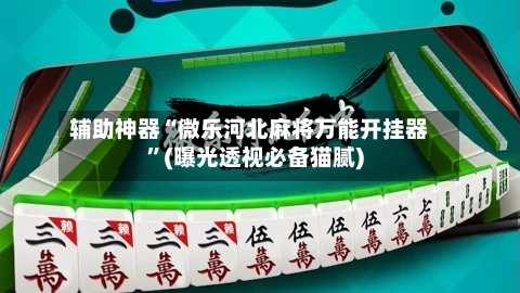 辅助神器“微乐河北麻将万能开挂器	”(曝光透视必备猫腻)-第2张图片