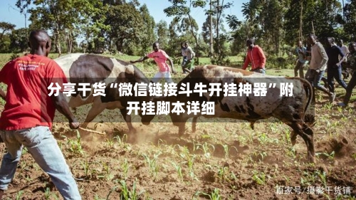 分享干货“微信链接斗牛开挂神器”附开挂脚本详细-第2张图片