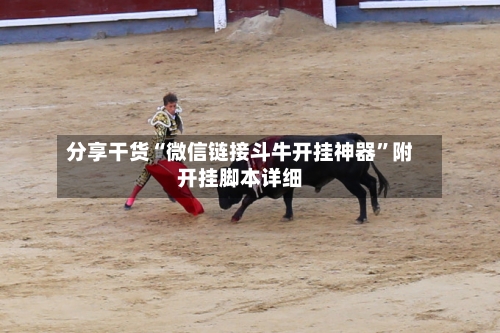 分享干货“微信链接斗牛开挂神器”附开挂脚本详细-第3张图片