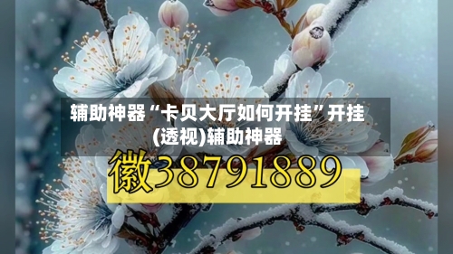 辅助神器“卡贝大厅如何开挂”开挂(透视)辅助神器-第3张图片