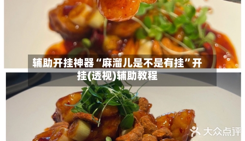 辅助开挂神器“麻溜儿是不是有挂”开挂(透视)辅助教程-第2张图片