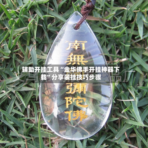 辅助开挂工具“金华佛手开挂神器下载	”分享装挂技巧步骤-第1张图片