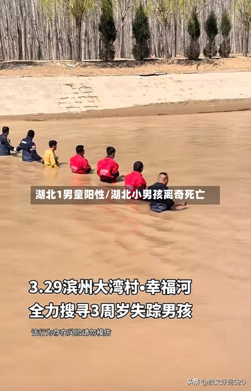 湖北1男童阳性/湖北小男孩离奇死亡-第2张图片