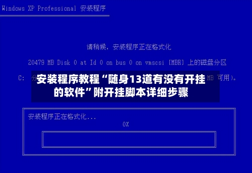 安装程序教程“随身13道有没有开挂的软件”附开挂脚本详细步骤-第1张图片