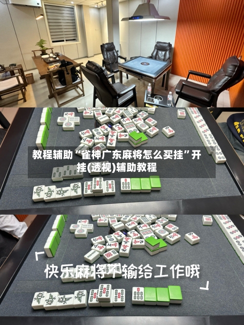 教程辅助“雀神广东麻将怎么买挂”开挂(透视)辅助教程-第2张图片