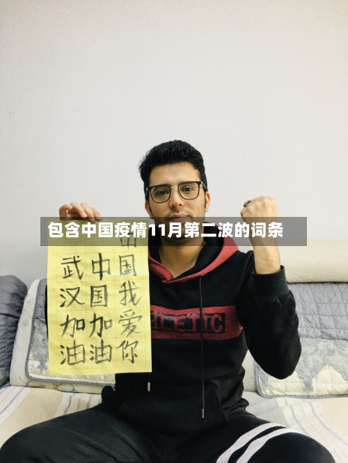包含中国疫情11月第二波的词条-第1张图片