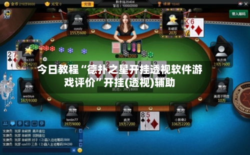 今日教程“德扑之星开挂透视软件游戏评价	”开挂(透视)辅助-第3张图片