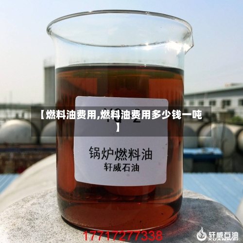 【燃料油费用,燃料油费用多少钱一吨】-第1张图片