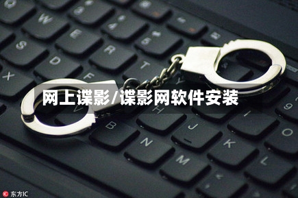 网上谍影/谍影网软件安装-第1张图片