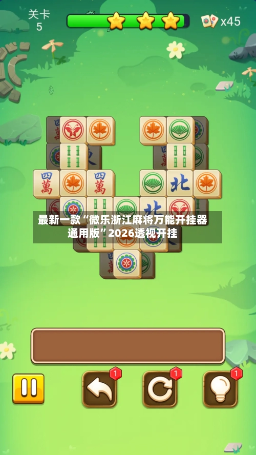 最新一款“微乐浙江麻将万能开挂器通用版”2026透视开挂-第1张图片