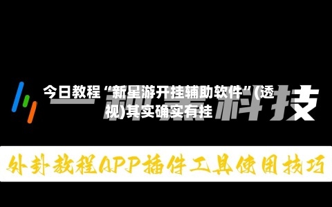 今日教程“新星游开挂辅助软件	”(透视)其实确实有挂-第2张图片