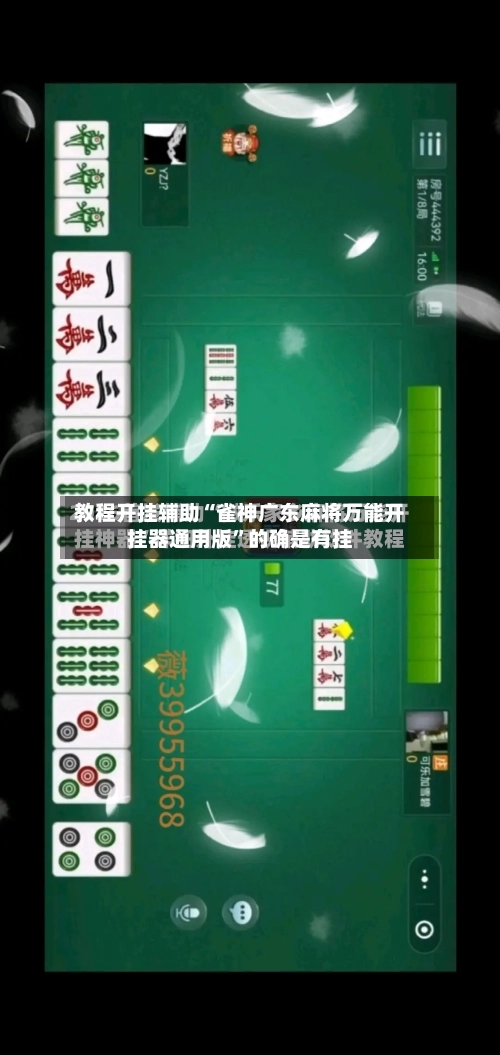 教程开挂辅助“雀神广东麻将万能开挂器通用版	”的确是有挂-第1张图片