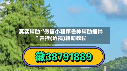 真实辅助“微信小程序雀神辅助插件”开挂(透视)辅助教程-第2张图片