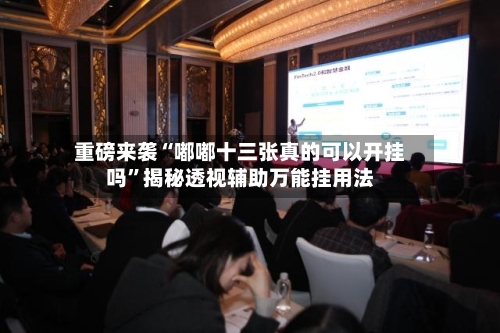 重磅来袭“嘟嘟十三张真的可以开挂吗”揭秘透视辅助万能挂用法-第3张图片