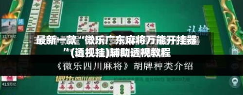 最新一款“微乐广东麻将万能开挂器”(透视挂)辅助透视教程-第3张图片