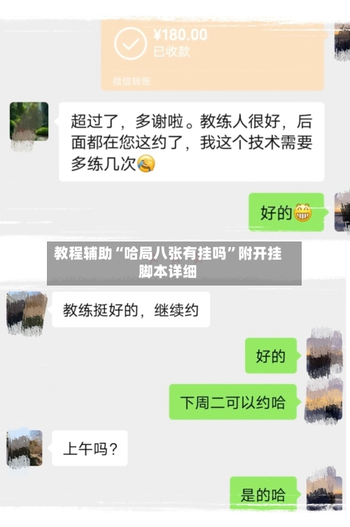 教程辅助“哈局八张有挂吗”附开挂脚本详细-第1张图片