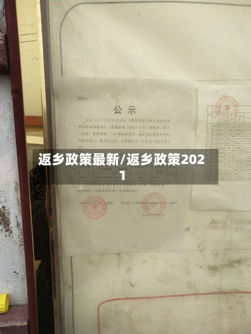 返乡政策最新/返乡政策2021-第2张图片