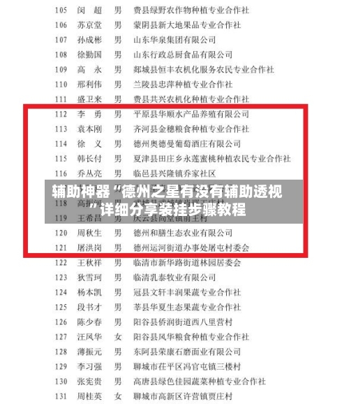 辅助神器“德州之星有没有辅助透视”详细分享装挂步骤教程-第1张图片