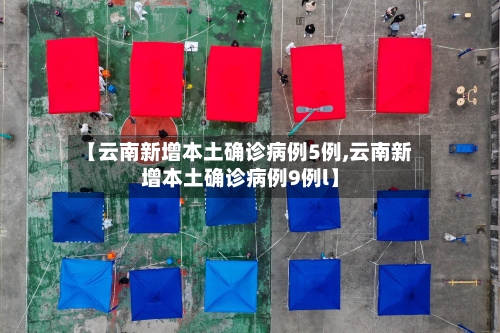 【云南新增本土确诊病例5例,云南新增本土确诊病例9例l】-第3张图片