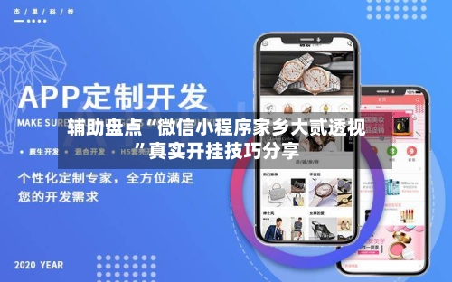 辅助盘点“微信小程序家乡大贰透视	”真实开挂技巧分享-第1张图片